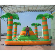 sport inflatable game